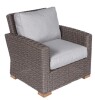 RST Brands Cannes Outdoor Club Chair in Brown Similar to Picture New $699