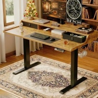 Inbox Zero Height-Adjustable Electric Standing Desk with Large Monitor Shelf & Drawers New in Box $399