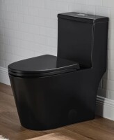 Casta Diva 17" Comfort Height Standard Toilet, Dual-Flush Modern Elongated One-Piece Toilet with Glazed Surface (Seat lncluded) CD-T002 New in Box $699