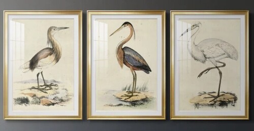 Canora Grey Antique Heron I -Custom Framed Premium Print W Matt 24 1/2" x 18 1/2" 3 Piece Set New In Box $299