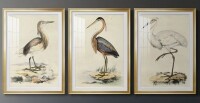 Canora Grey Antique Heron I -Custom Framed Premium Print W Matt - 3 Piece Set New In Box $299
