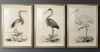 Canora Grey Antique Heron I -Custom Framed Premium Print W Matt 24 1/2" x 18 1/2" 3 Piece Set New In Box $299
