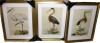 Canora Grey Antique Heron I -Custom Framed Premium Print W Matt 24 1/2" x 18 1/2" 3 Piece Set New In Box $299 - 2