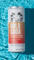 Gold Soda - Natural Ingredients - Organic Cane Sugar - Non-GMO - No Preservatives - Monk Fruit - Sparkling Water - Made with Natural and Organic Flavors - Ginger Apple 12 fl oz