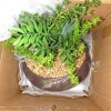 Brayden Studio&reg; 18'' Faux Succulent in Metal Planter New In Box $399 - 2