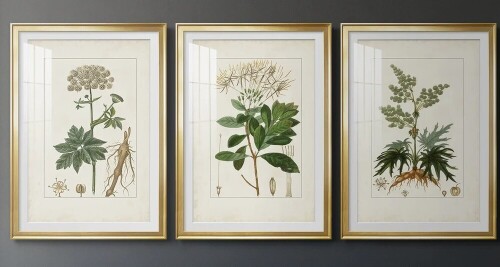 Canora Grey Antique Turpin Botanical I -Custom Framed Premium Print W Matt - 3 Pieces, 20" x 30" New in Box $299