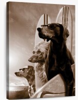 Trinx Ketti Surfing Dogs Canvas, 32" x 46" New In Box $199
