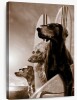 Trinx Ketti Surfing Dogs Canvas, 32" x 46" New In Box $199