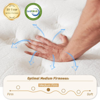 SNFPNE 10 Inch King Size Hybrid Mattress with Gel Memory Foam and Individual Pocketed Coils for Motion Isolation & Edge Support, Medium Firmness for Pressure Relief, CertiPUR-US Certified New In Box $899