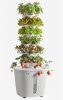 VEVOR Hydroponic Tower, 30 Pods 6 Tiers Hydroponics Growing System Kit with App Control, Vertical Home Garden with 20L Water Tank & Pump, Planter Germination Kit for Indoor Herbs, Fruits, Vegetables New In Box $199