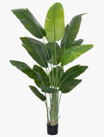 Latitude Run&reg; 6.5 ft. Artificial Bird of Paradise Tree in Black Cement Pot &ndash; Large Faux Tropical Plant for Indoor Floor Decor New In Box $199