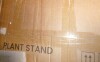 Ebern Designs 67.32'' Plant Stand with Grow Lights New Open Box $299 - 2