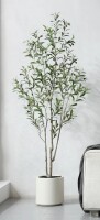 Primrue Altman Faux Olive Tree with White Planter New In Box $299