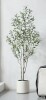 Primrue Altman Faux Olive Tree with White Planter New In Box $299