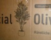 Primrue Altman Faux Olive Tree with White Planter New In Box $299 - 2