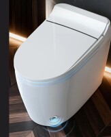 BCANHOME Smart Toilet with Tankless Bidet Wash, Auto Open Lid, 1.28 Gallons Auto Dual Flush, Heat Seat, Warm Wash/Dryer, Soft Closing, Remote Control SMT2209C New in Box $2899