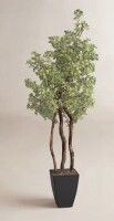 D & W Silks 84'' Faux Star Leaf Tree Tree in Metal Planter New Shelf Pull $299