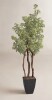 D & W Silks 84'' Faux Star Leaf Tree Tree in Metal Planter New Shelf Pull $299