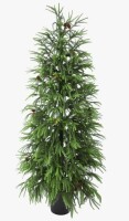 The Holiday Aisle&reg; 4 ft. UV-Resistant Real Touch Norfolk Pine Christmas Tree with Realistic Pinecones & Full Branches New In Box $199