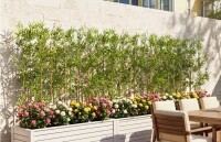 Primrue Adcock 6ft Artificial Bamboo Tree, 36 Pack Privacy Fence Decor - Real Bamboo Pole with UV Resistant Leaves New in Box $399