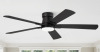 17 Stories Cissline 52" Modern Black Flush Mount Ceiling Fan with LED Light and Remote Control for Bedroom, Living Room, and Kitchen New Open Box $299