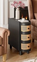 Bay Isle Home&trade; 3-Drawer Rattan End Table Similar to Picture New In Box $299