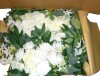 VEVOR Artificial Wedding Arch Flowers Kit, White Wedding Arch Flowers with Drapes Kit (3-Piece) - 2 Pcs Floral Arrangement, 1 Pcs Sheer Drapes, for Ceremony Bouquets Reception Backdrop Decoration New In Box $199 - 2
