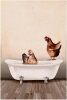 Eorntdy Canvas Wall Art Unframe Bathroom Rooster Animals Picture Painting Canvas Painting Rustic Chicken Wall Art for Living Room Bathrooms Home Modern Office Decor Canvas Art Wall Decor 16x24inch New In Box $99