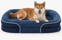 Bedsure Orthopedic Dog Bed for Medium Dogs, Oval Bolster Pet Sofa with Waterproof and Washable Soft Fleece Cover, L (7"H x 35"W x 25"D) New In Box $99