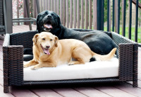 Archie & Oscar&trade; Cristobal Orthopedic Memory Foam Pet Bed, Large (38.5" W x 26.5" D x 15" H) $199
