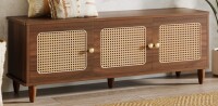 Bayou Breeze Danaisa 55.12" W Shoe Storage Bench with Rattan Doors Ne win Box $399