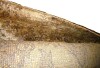 Isabelline Elegant Moroccan Area Rug 8x10 for Timeless Outdoor Design $699 - 2