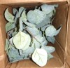Primrue 26.5 " H Faux Eucalyptus Plant in Ceramic Decorative Vase New In Box $199 - 2