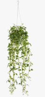 Red Barrel Studio&reg; 34 " H Faux Ivy Plant in Ceramic Basket New In Box $199