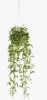 Red Barrel Studio&reg; 34 " H Faux Ivy Plant in Ceramic Basket New In Box $199
