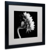 Ebern Designs "Sunflower" by Michael Harrison Canvas, 16" x 16" New Shelf Pull $199
