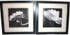 Ebern Designs "Sunflower" by Michael Harrison Canvas, 16" x 16" New Shelf Pull $199 - 2