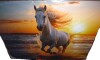 Union Rustic Wild horse running on beach 1 - Coastal Beach Framed Prints 30" x 40" New $299 - 2
