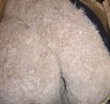 Bedsure Plush Indoor Donut Dog Bed, Round Faux Fur Pet Bed for Extra Large Dogs with Washable Removable Cover and Non-Slip Bottom, L (8"H x 36"W x 36"D) $199 - 2
