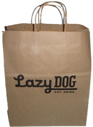Shopping Bag with Handles 12" x 8.5" x 14.5" New