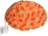 Petco Essentials Aquatic Decor Pess Brain Artificial Coral ~ Aquarium Ornament New - 2