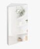 Ivy Bronx Eastbrook Corner Mount Frameless 1 of Doors Wood Recessed Medicine Cabinet with Mirror New In Box $299