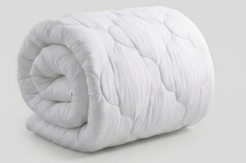 Latitude Run&reg; Adaptive Comfort Plush Mattress Pad with 100% Cotton Shell for Breathable Comfort - QUEEN $199