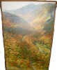 24" x 36" Vermont Wall Art New In Box $199