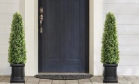 Primrue 4ft Boxwood Outdoor Topiary Set of 2, Tall Porch Trees, All-Year Green Fake Plant Topiary Trees Artificial Outdoor with Sturdy Pot for Porch Indoor (Square) New in Box $299
