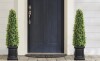 Primrue 4ft Boxwood Outdoor Topiary Set of 2, Tall Porch Trees, All-Year Green Fake Plant Topiary Trees Artificial Outdoor with Sturdy Pot for Porch Indoor (Square) $299