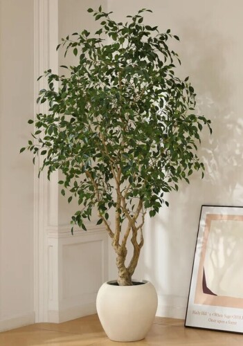 Primrue Adcock 8' H Artificial Ficus Tree in 18" White Planter New In Box $399