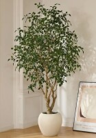 Primrue Adcock 8' H Artificial Ficus Tree in 18" White Planter New In Box $399