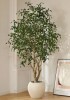Primrue Adcock 8' H Artificial Ficus Tree in 18" White Planter New In Box $399