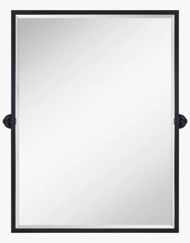 Joss & Main 30" x 40" Rectangle Wall Mirror New In Box $399